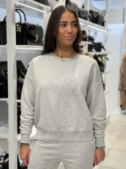 Guess Active - Rhinestones Cn Sweatshirt - Grijs