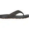 Skechers - Patino Marlee - Bruin